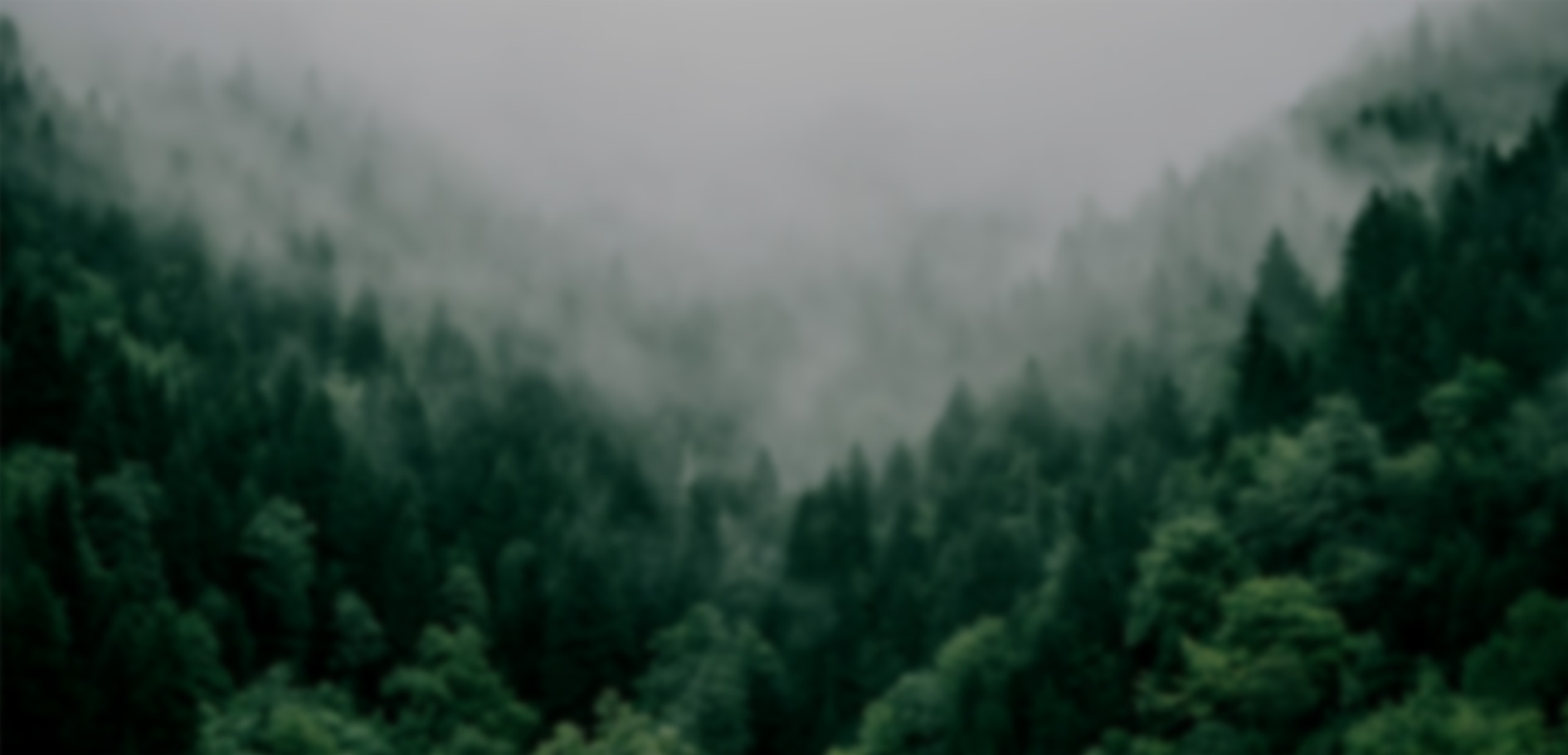 关键词:山林生态、低碳自然禀赋、生态固碳、绿色低碳基底
    描述:朦胧的山林景观,以丰富植被展现生态固碳的低碳自然禀赋,是区域绿色低碳发展的天然基底,为低碳生态体系构建提供自然支撑。